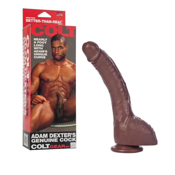 CalExotics COLT Adam Dexters Genuine Cock Dildo – Chocolate
