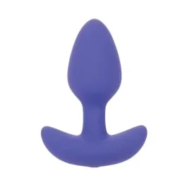 Connect App Control Vibrating Butt Plug