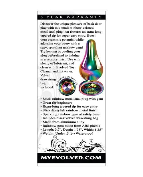 Evolved Rainbow Metal Plug – Small