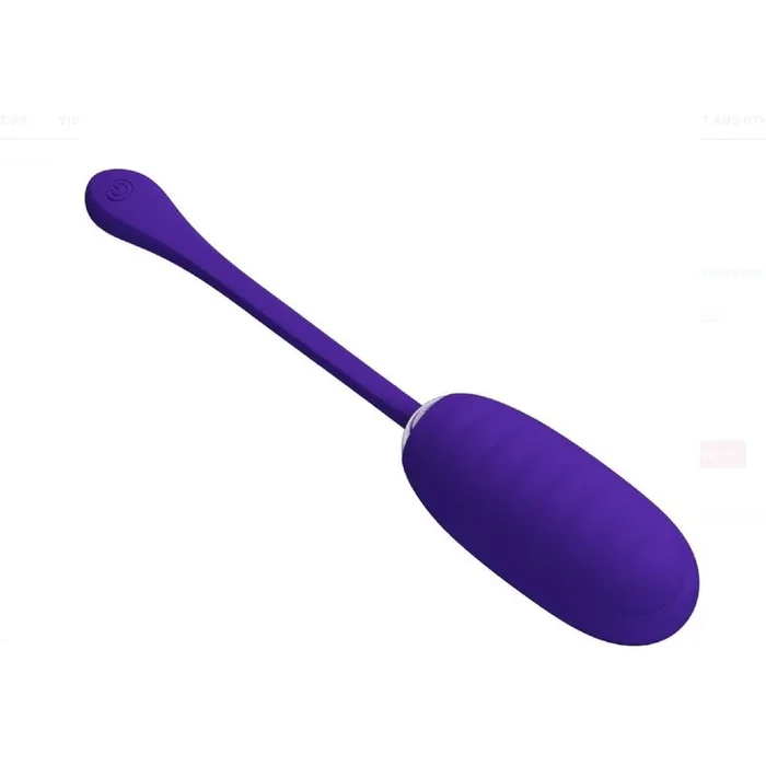 Kirk Rechargeable Vibrating Egg Vibe Purple