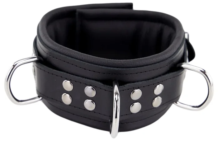 padded leather collar